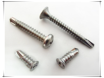 katsuhanan-STAINLESS STEEL SCREW-1